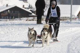 Lenk 2012 SM